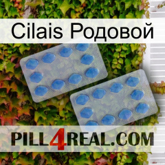 Cilais Родовой 20